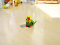 ミニチュア　インコ