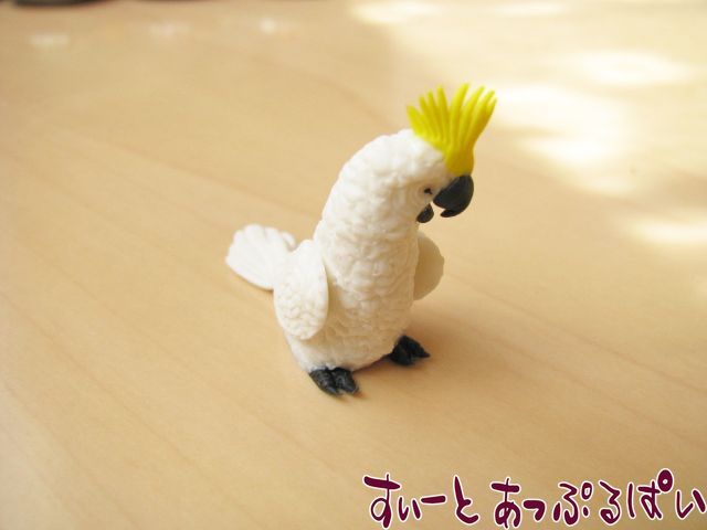 FGRB006
