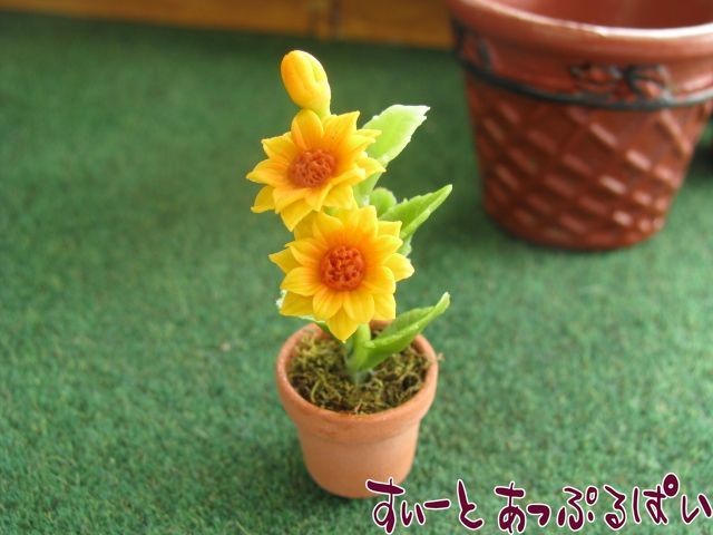 sunflower1